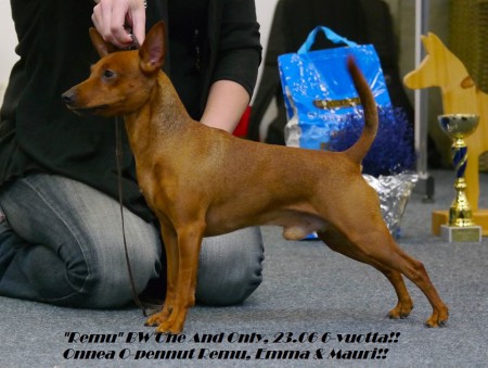 Remu syyserkkarissa 2013